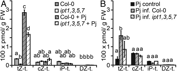 Fig. 4.