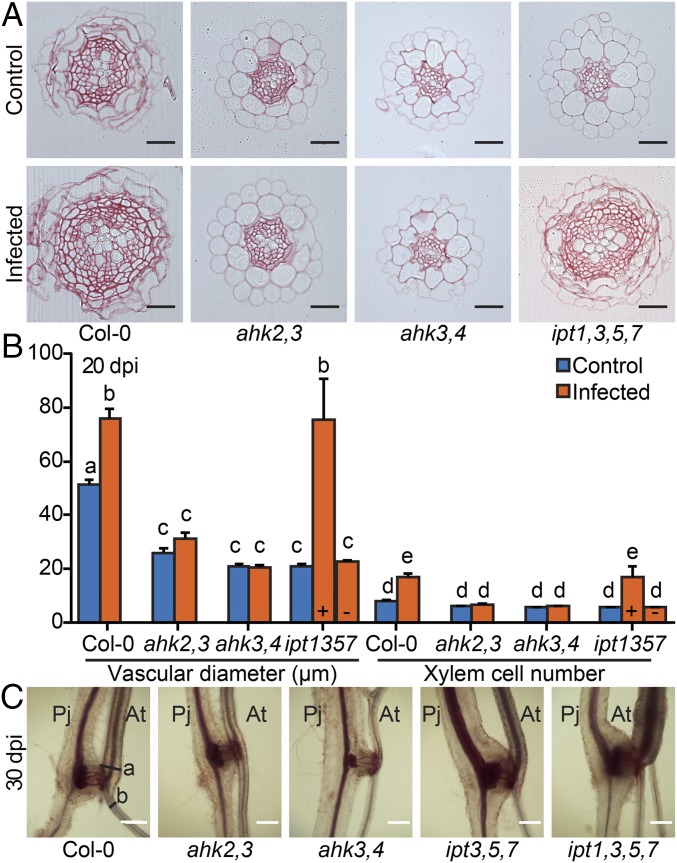 Fig. 3.