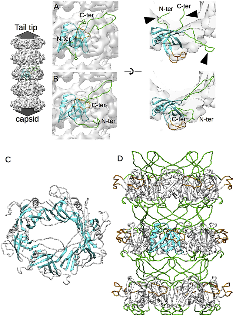 Fig. 3.