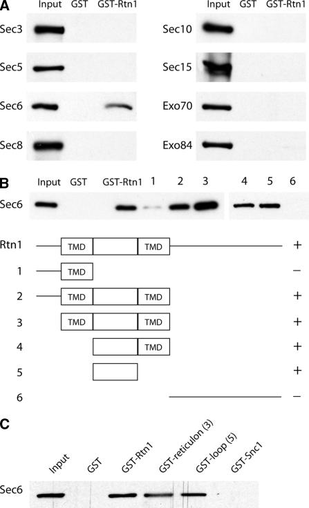 Figure 6.