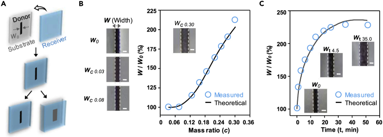 Figure 3