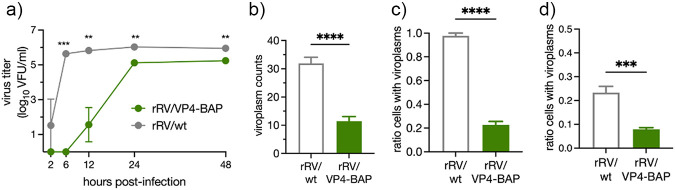 FIG 3