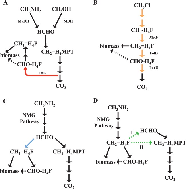 FIG 5