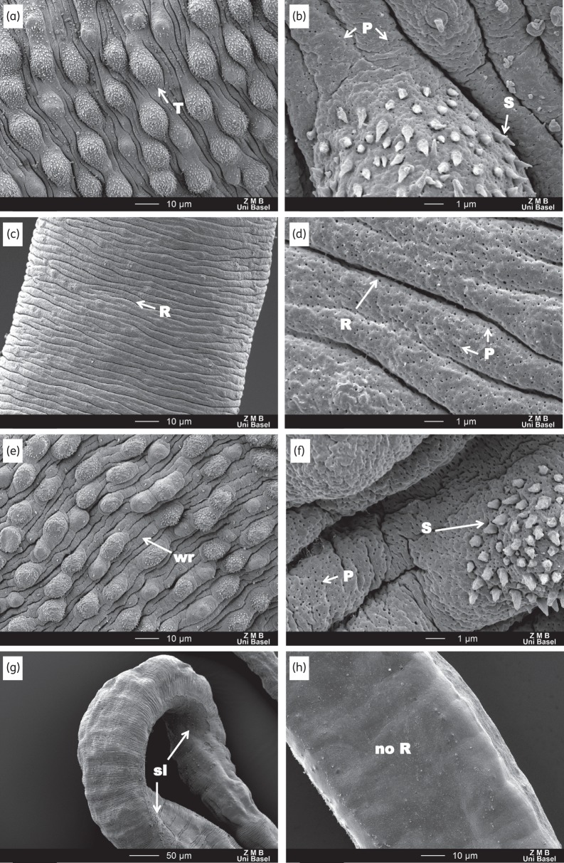 Figure 4.