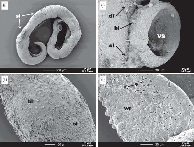 Figure 5.