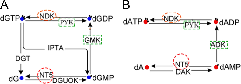 Fig. 3