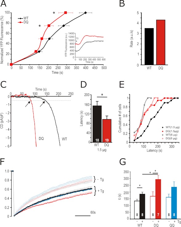 FIGURE 3.