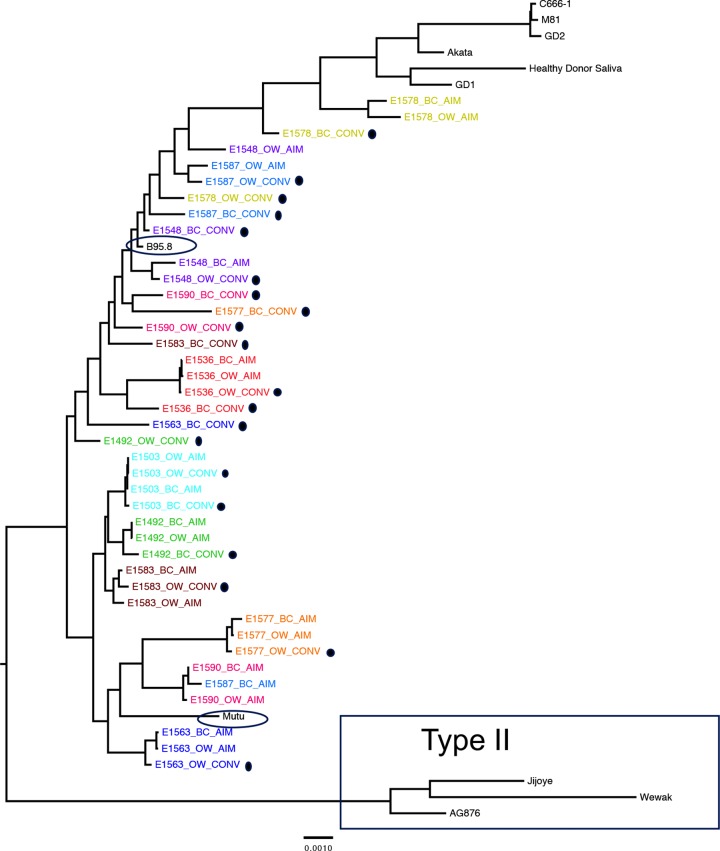 FIG 2