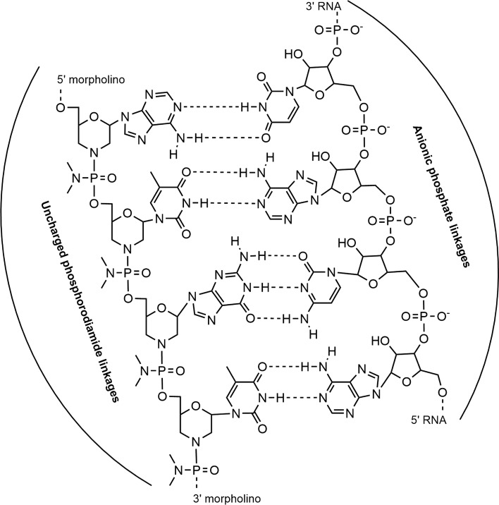 Fig. 5