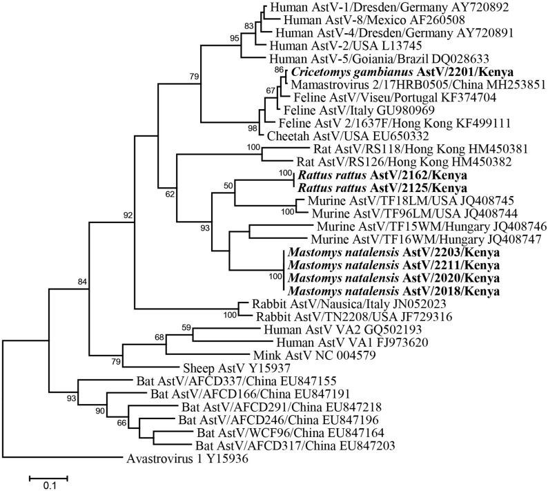 FIGURE 2