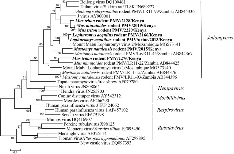 FIGURE 3