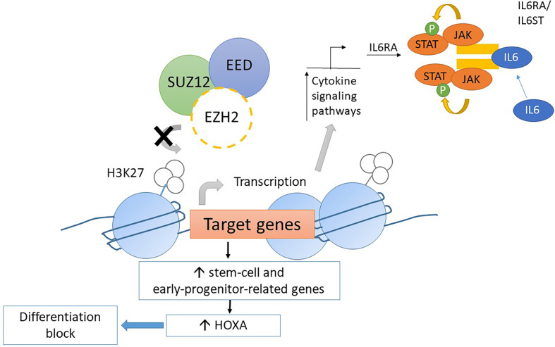 Figure 4