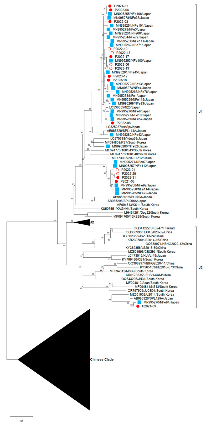 Figure 7