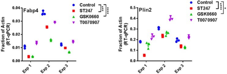 Figure 5—figure supplement 1.