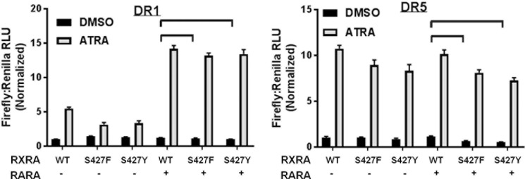 Figure 2—figure supplement 1.