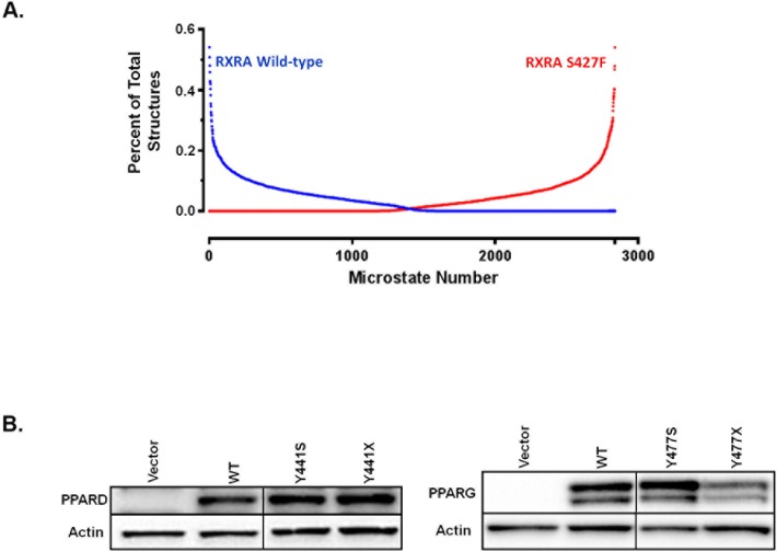 Figure 3—figure supplement 1.