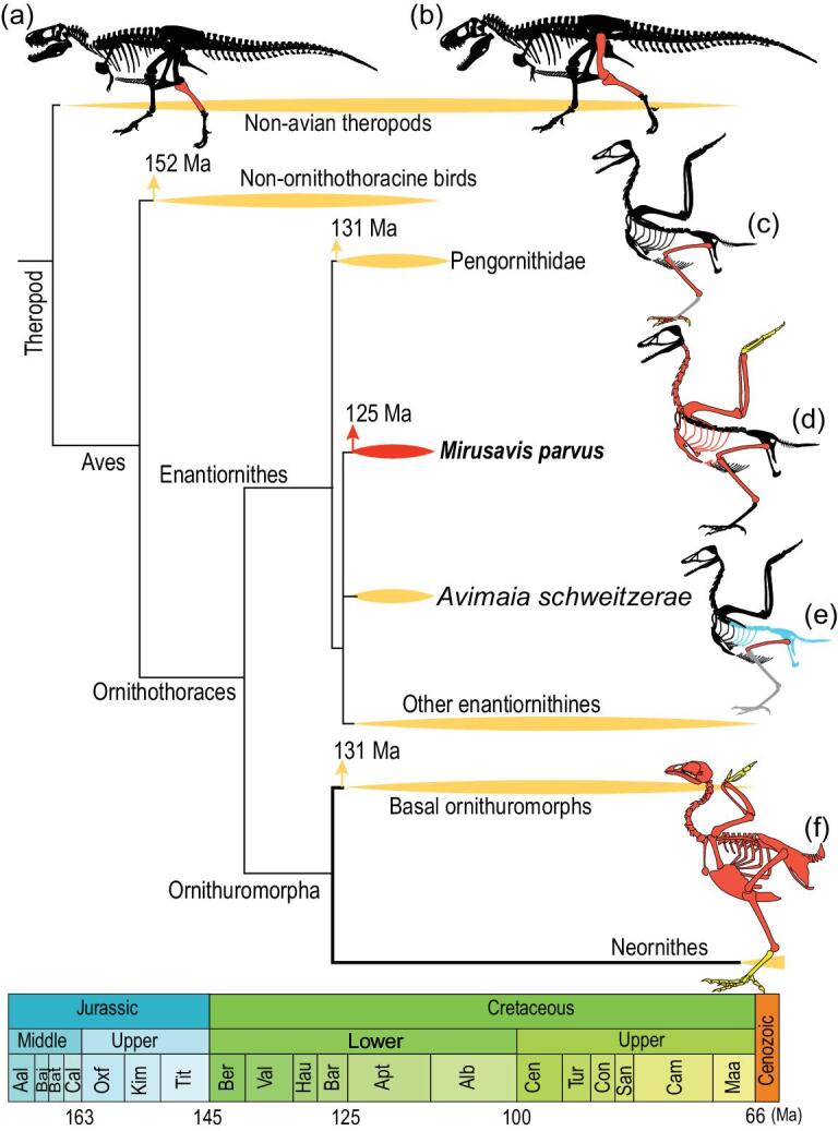 Figure 5.