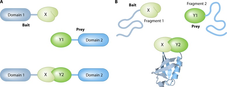 Fig 2