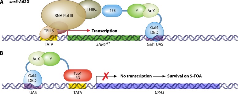 Fig 4