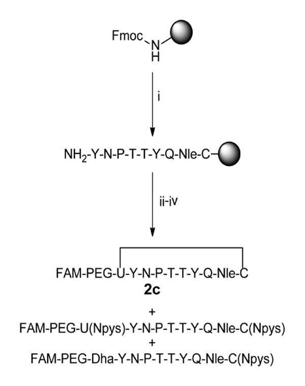 Scheme 1