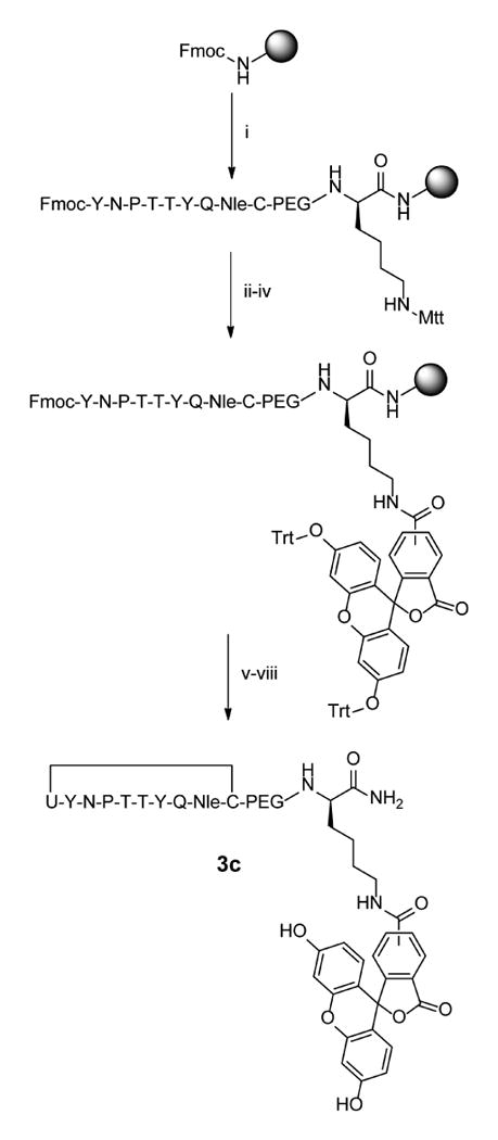 Scheme 2