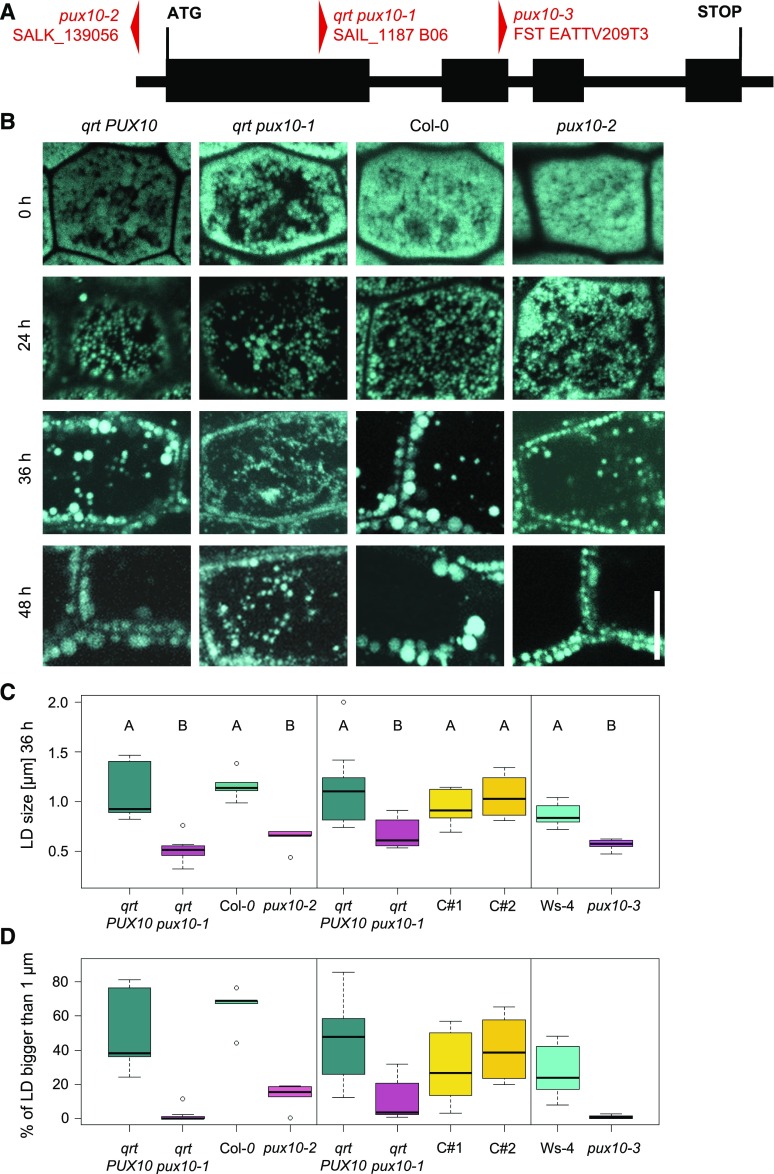 Figure 6.