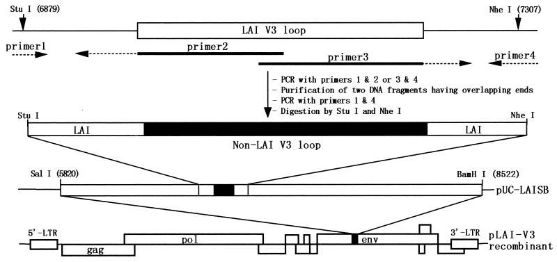 FIG. 1