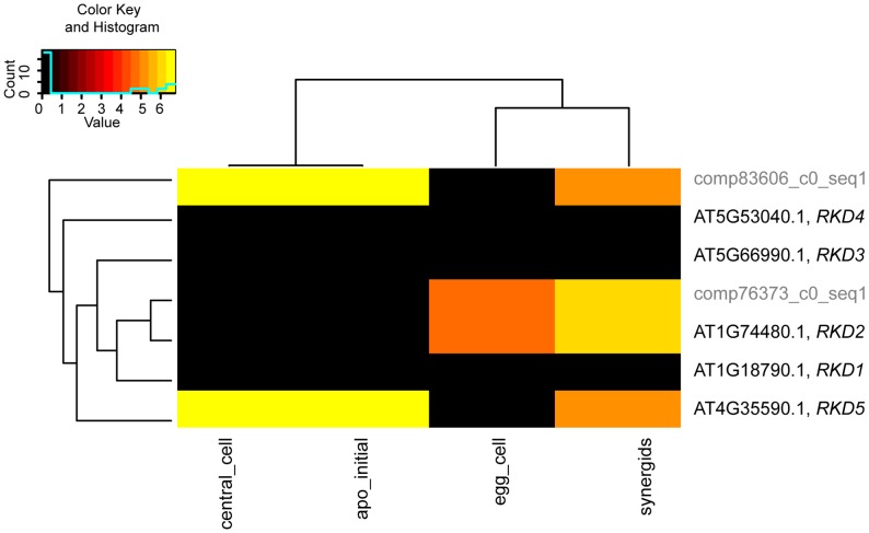 Figure 6