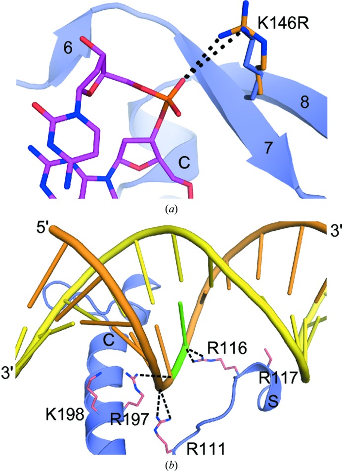 Figure 7