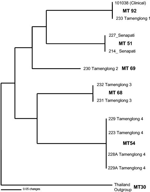 FIG. 3.