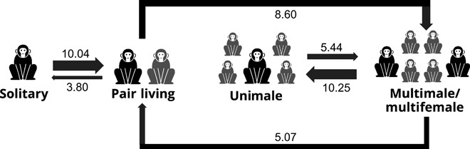 Fig. 2