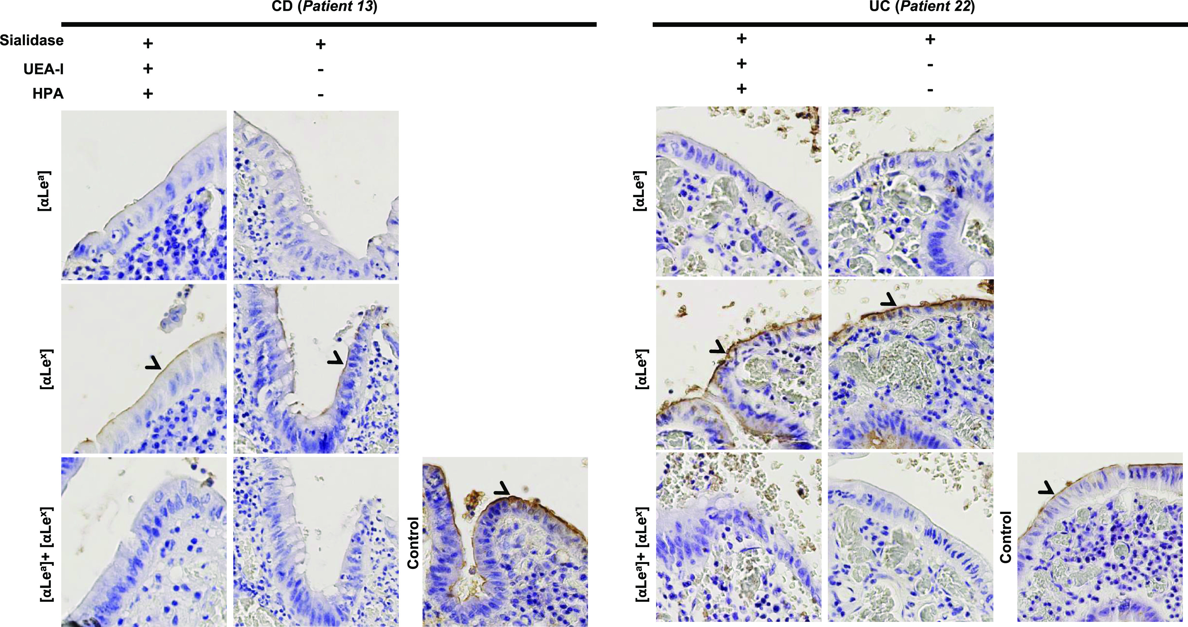 FIG 6