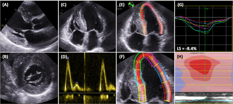 Figure 1: