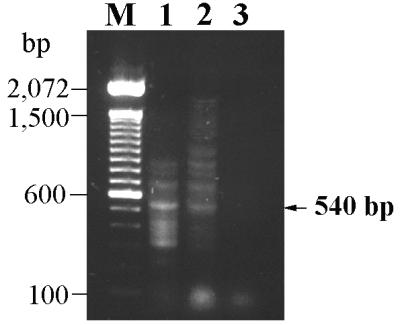 FIG. 6