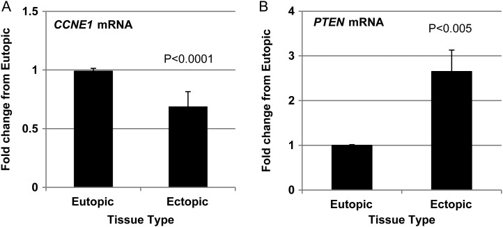 Figure 5