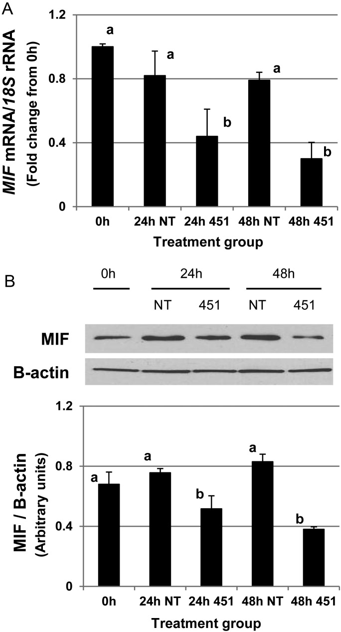 Figure 3