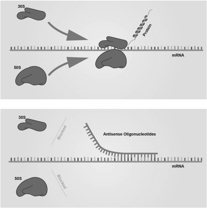 FIG. 1.