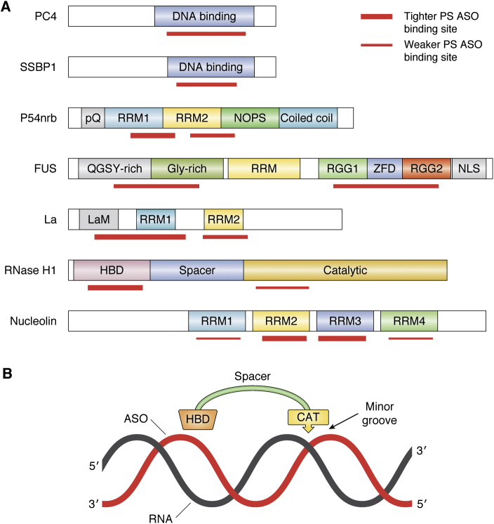 Figure 3