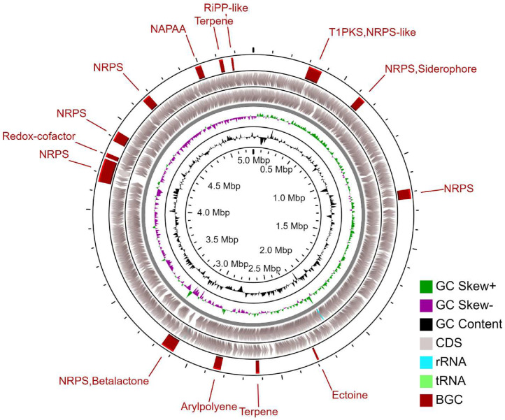 Fig 2