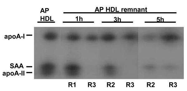 Figure 2B