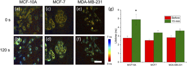 Fig. 4.