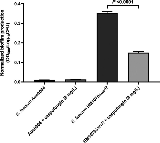 FIG 6