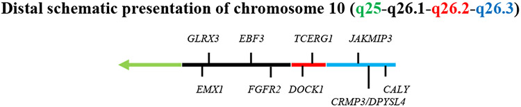 graphic file with name nihms-1649330-t0005.jpg