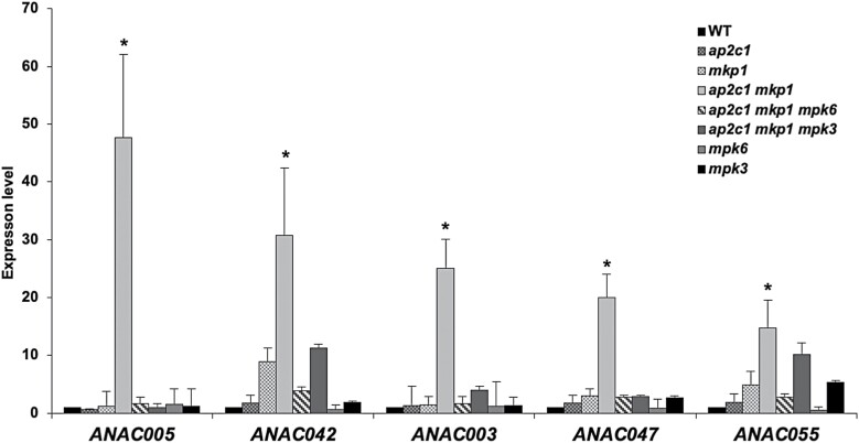 Fig. 7.