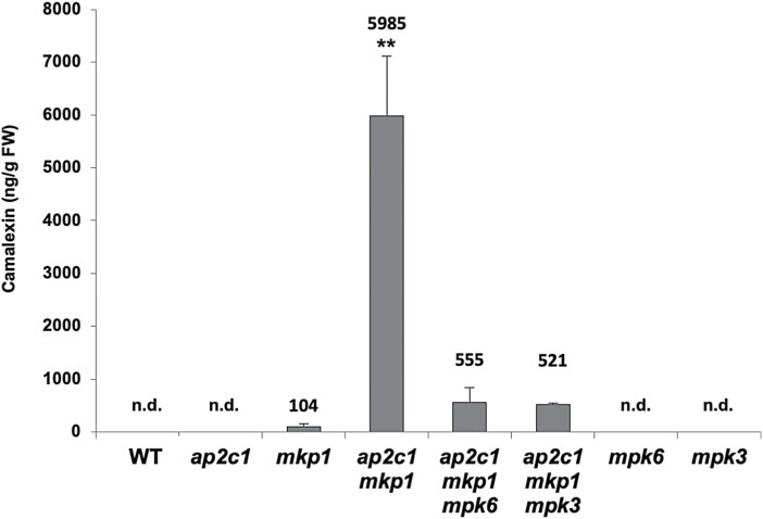 Fig. 8.