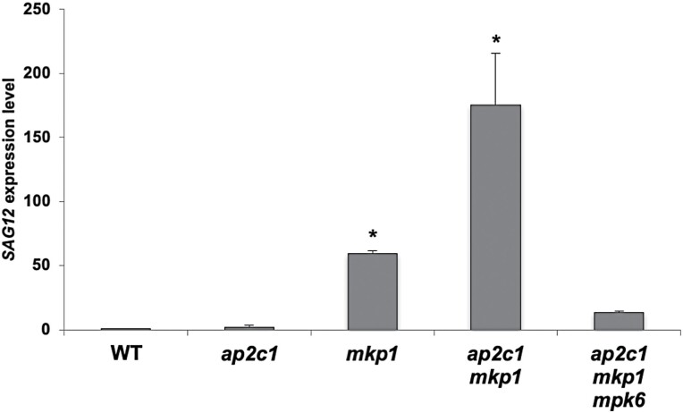 Fig. 10.