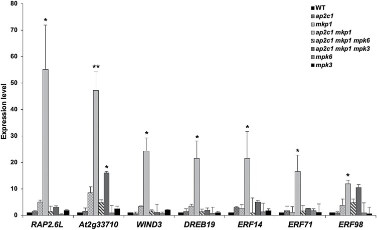 Fig. 6.