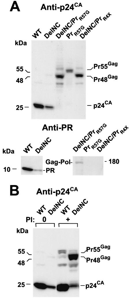 FIG. 7.