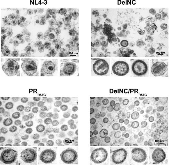 FIG. 6.