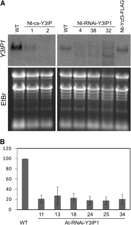 Figure 6.